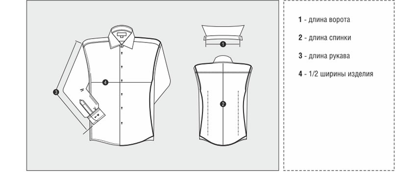 Как снять мерки для определения размеров мужских рубашек Vester
